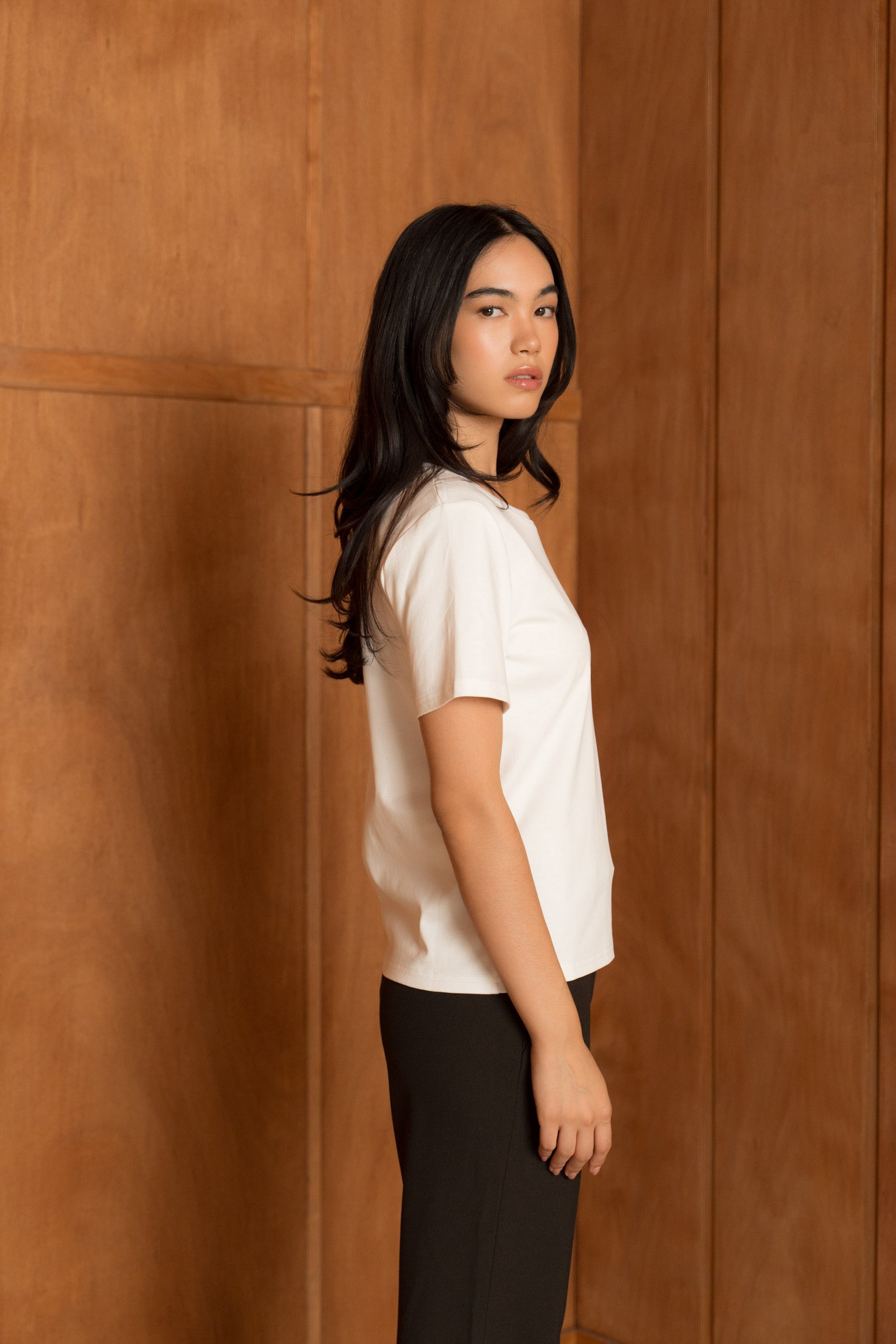 T-shirt 100% coton premium col rond manches courtes