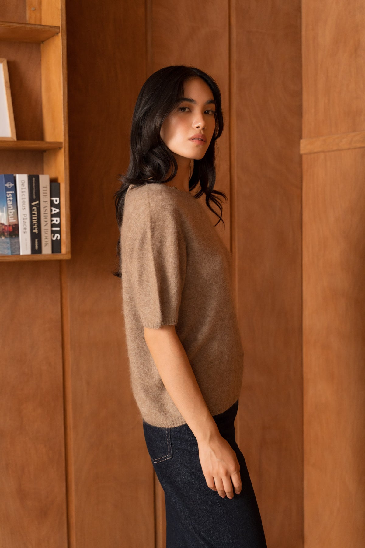 Pull laine & cachemire brossé col rond manches courtes