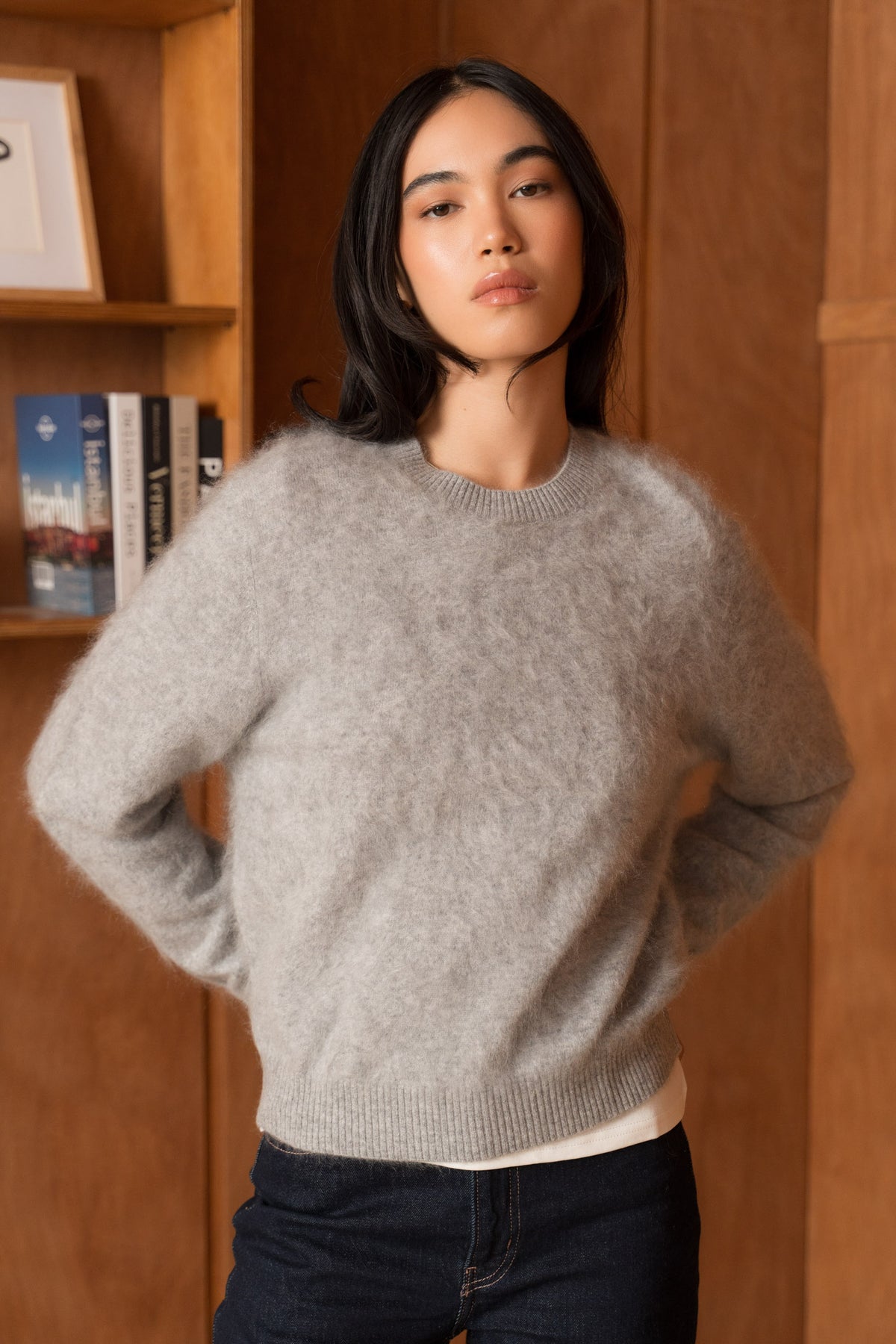 Pull 100% cachemire brossé col rond