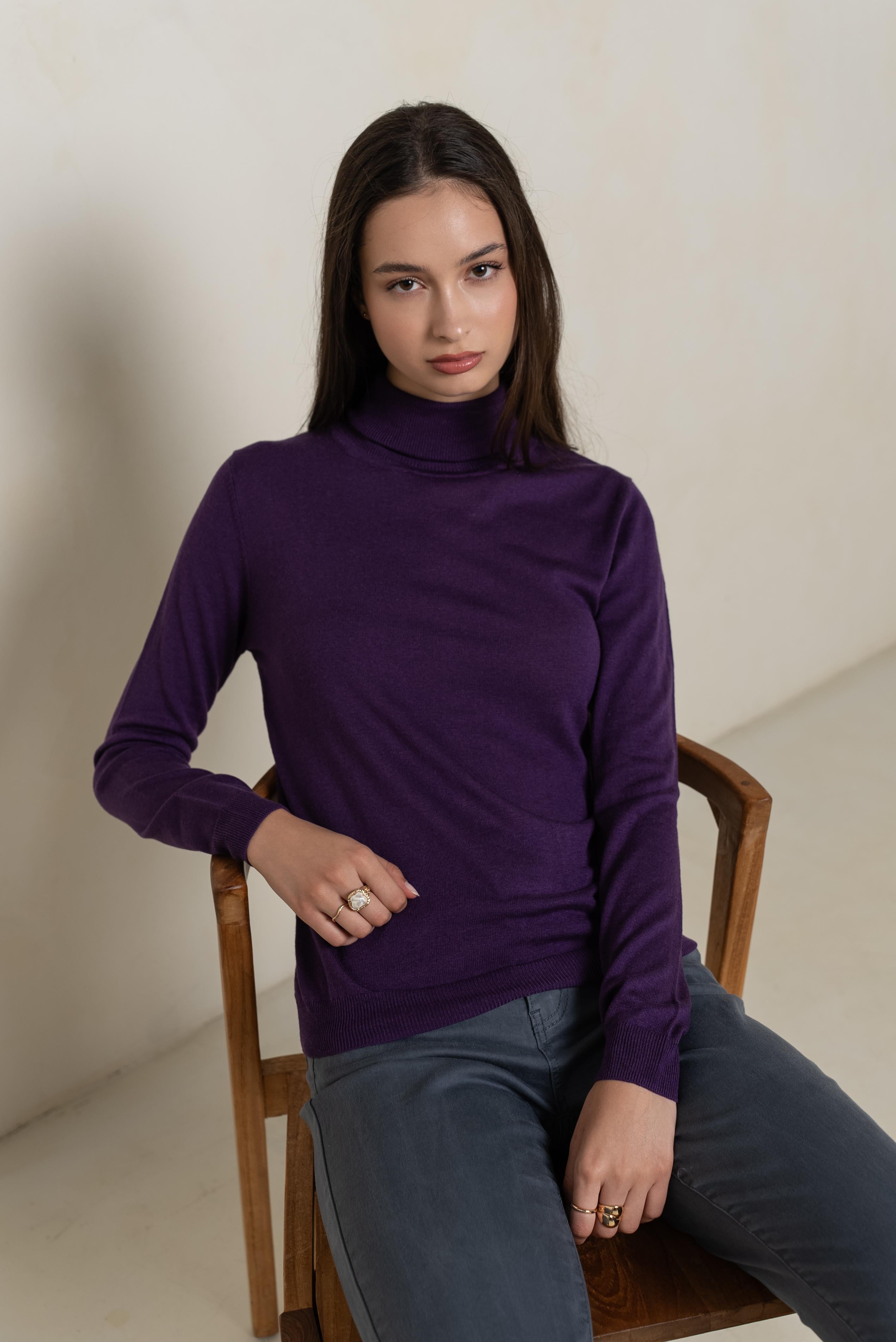 Pull col roulé en soie et cachemire