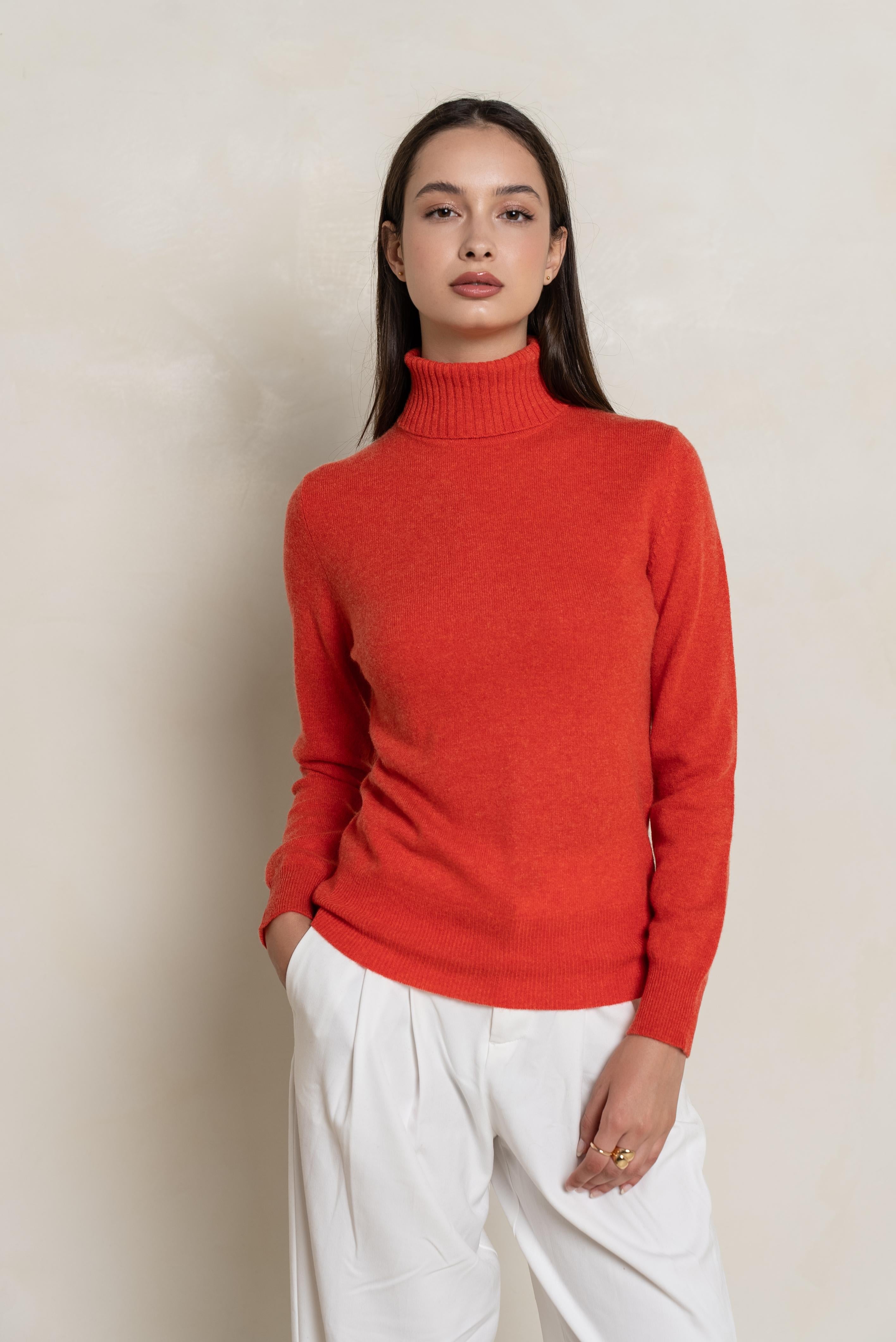 Pull col roulé en cachemire