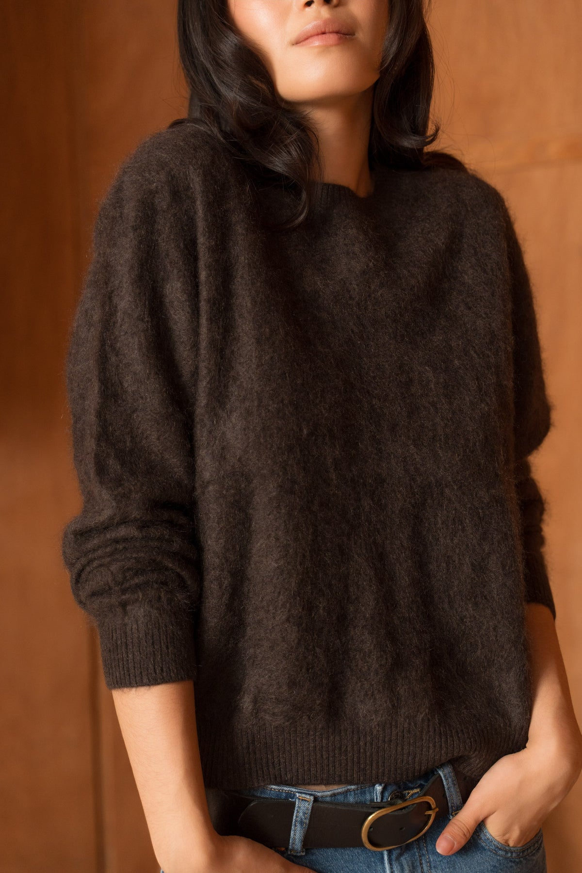 Pull 100% cachemire brossé col rond