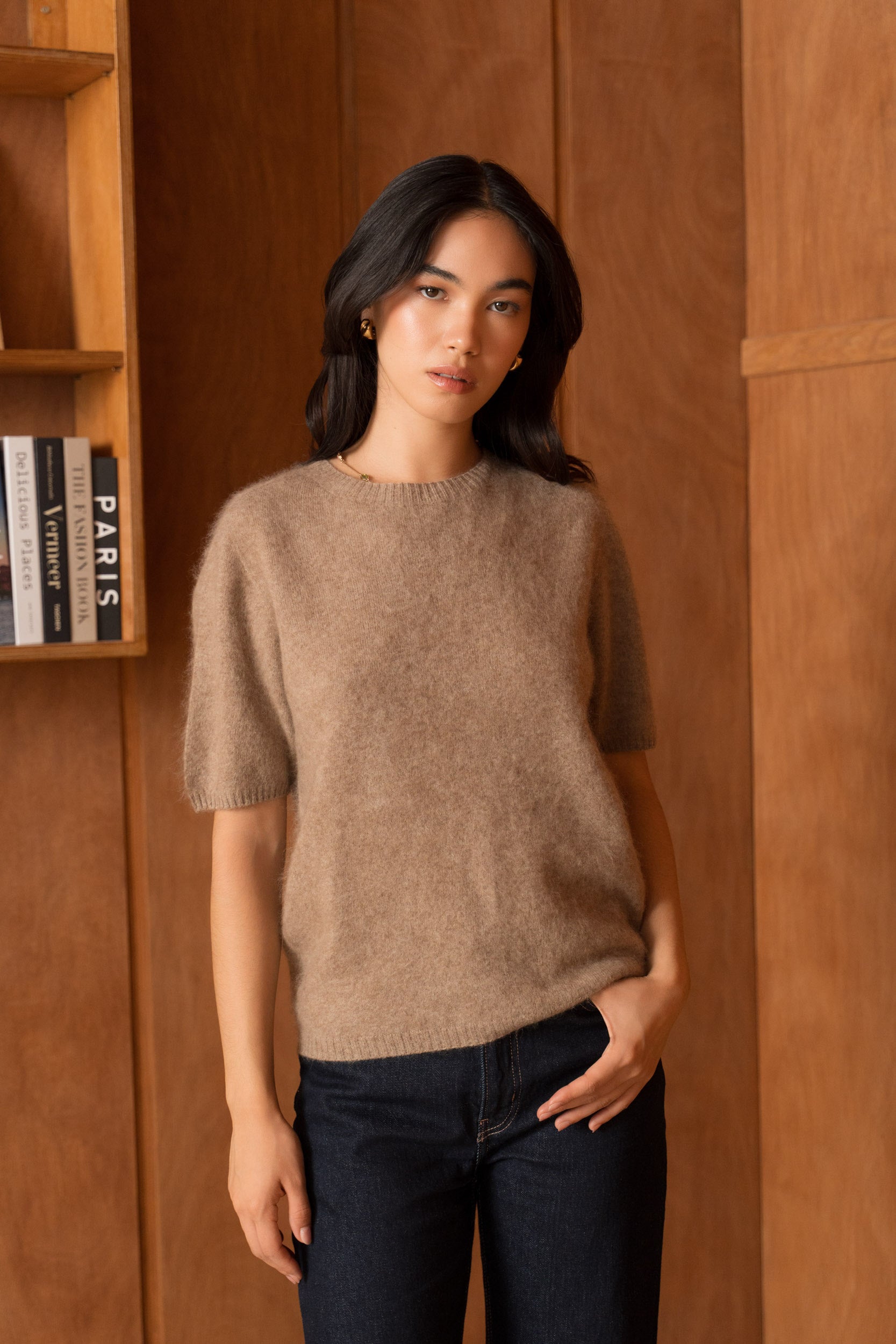 Pull laine & cachemire brossé col rond manches courtes